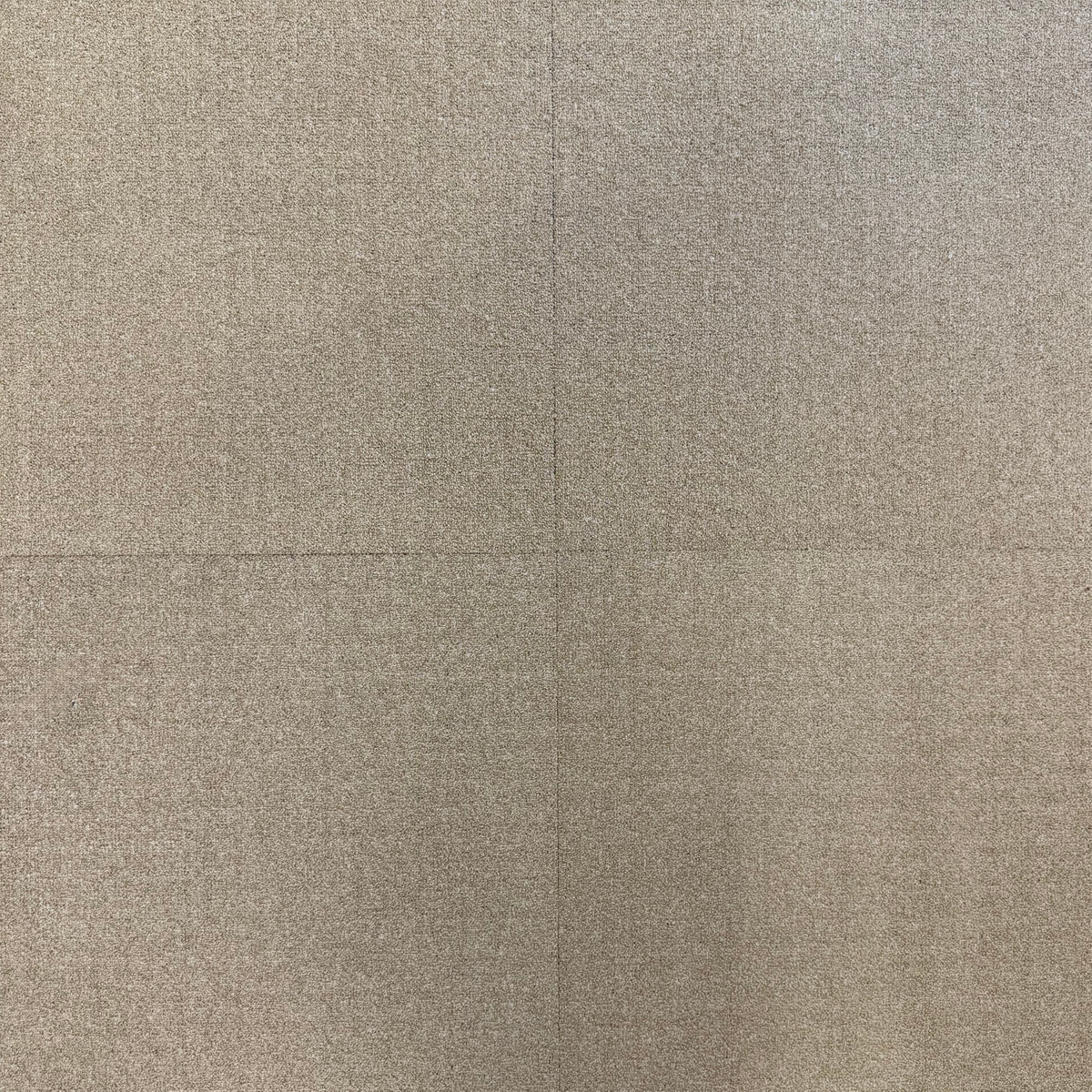 Rock Solid Polished - Masland Carpet Squares 1.png