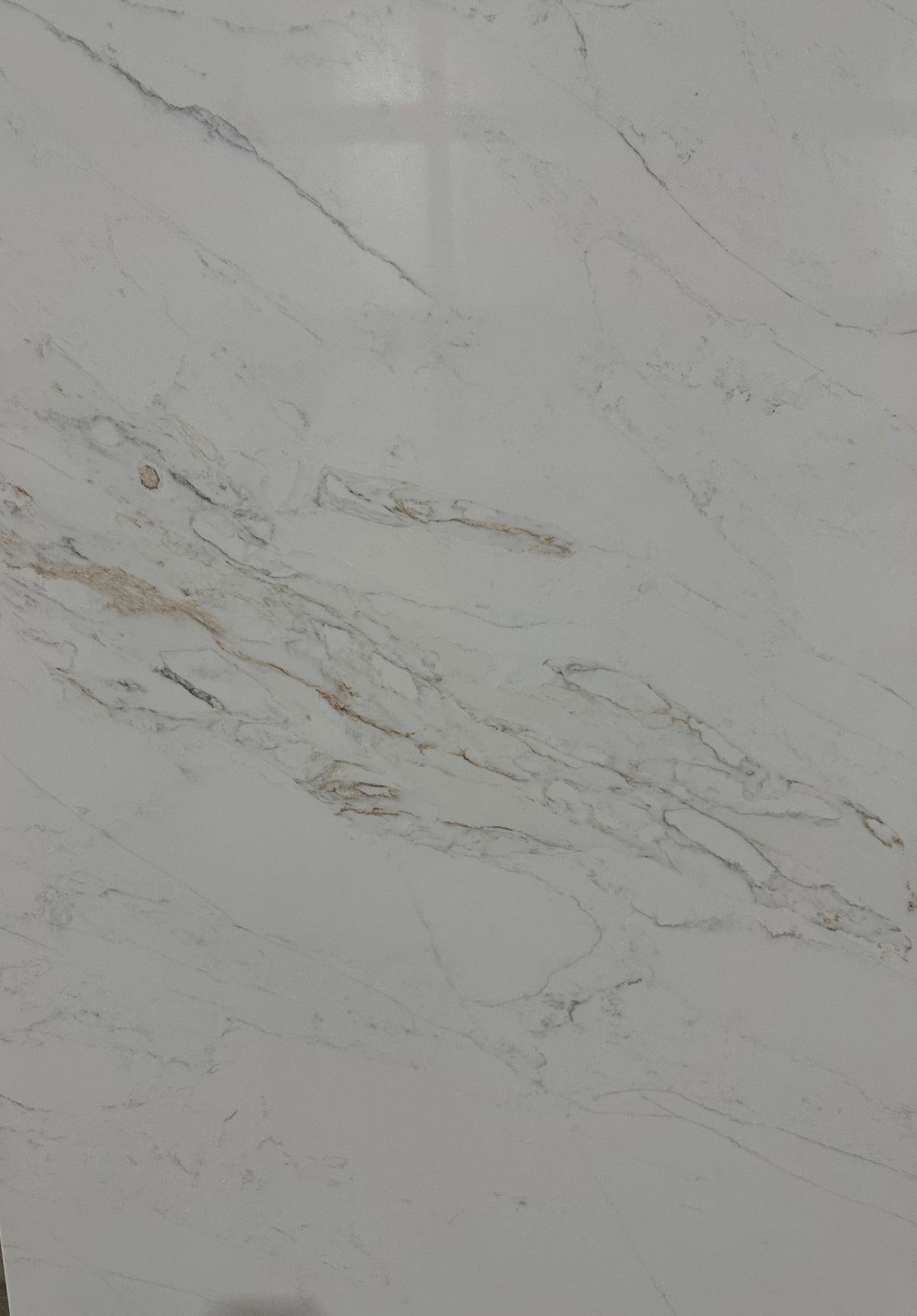 Calacatta Luxe 2.jpg