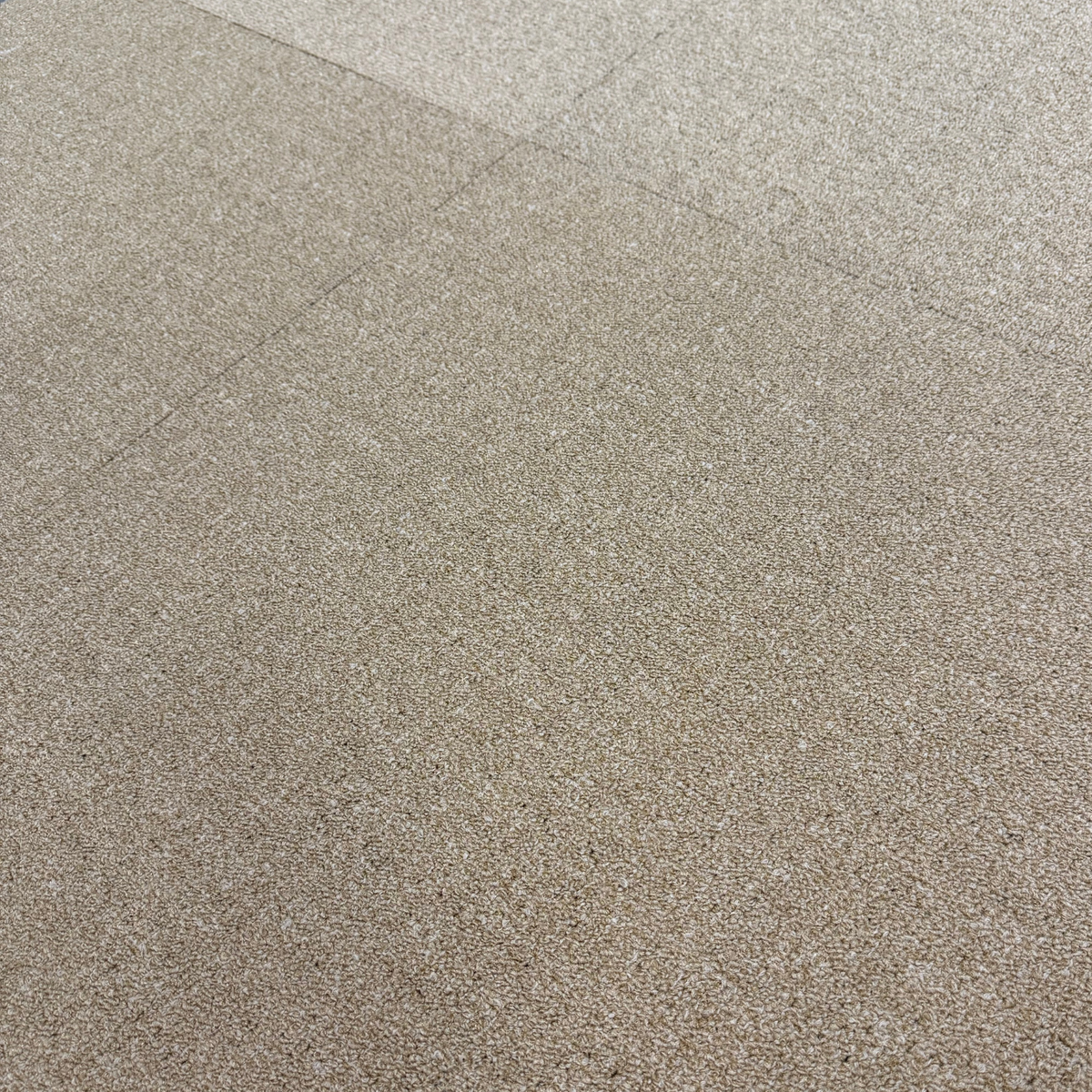 Rock Solid Polished - Masland Carpet Squares 2.png