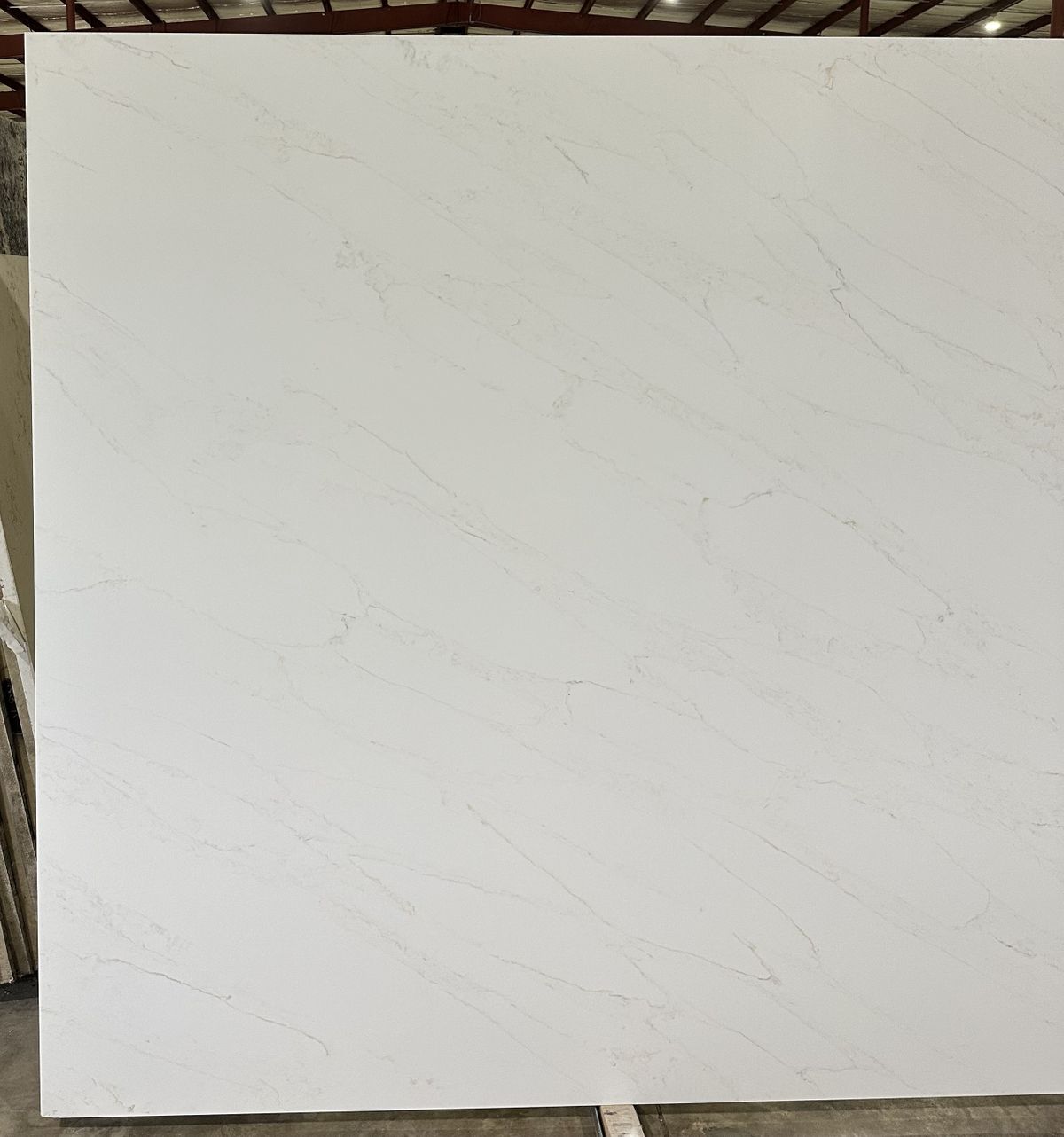 Calacatta Fiona 1.jpg