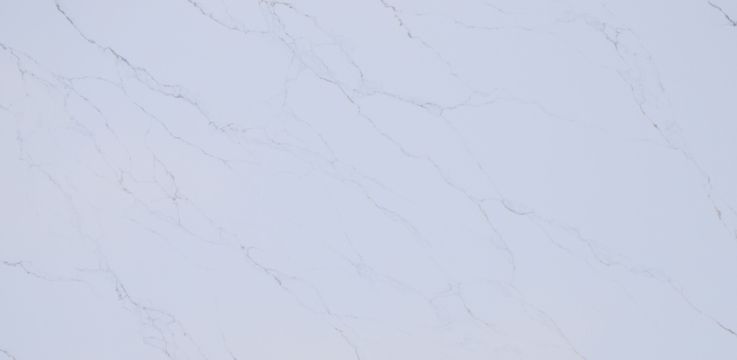 Calacatta Platinum quartz thumb.jpeg