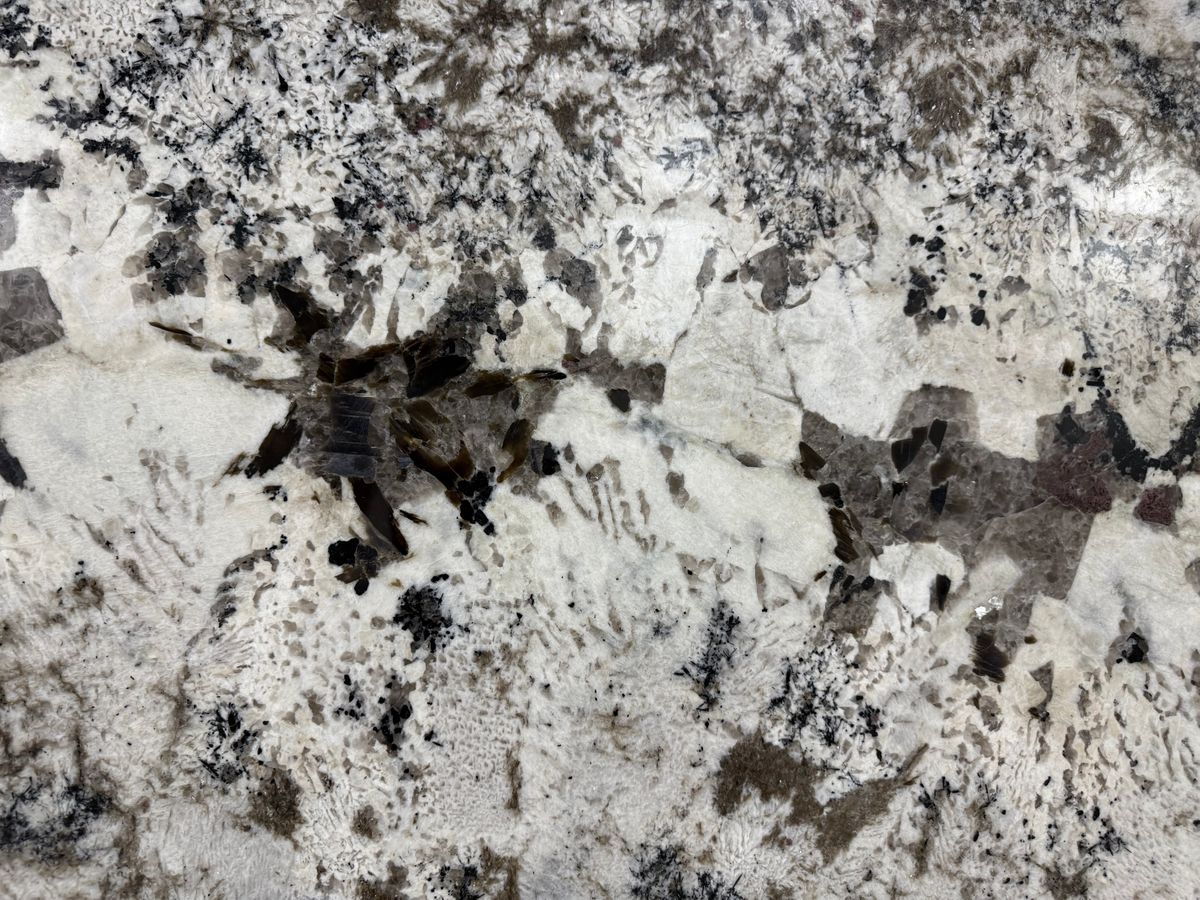 Alpine White 25091504W 6.jpeg