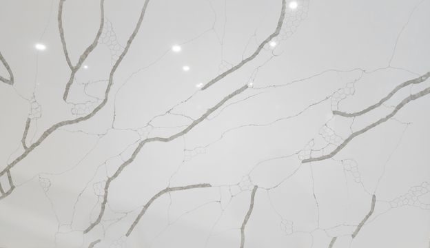 Calacatta Rio Light-69.95.jpg