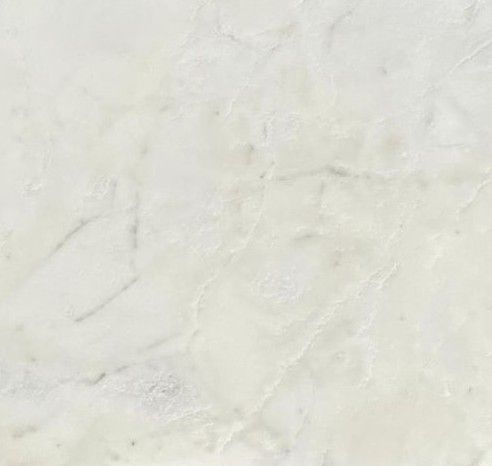 White Rhino Cover 2.jpg