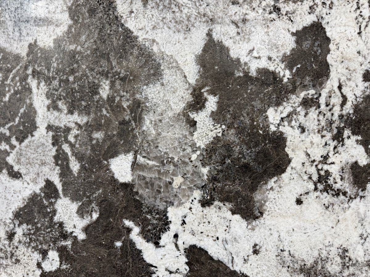 Alpine White 25091502W 5.jpeg