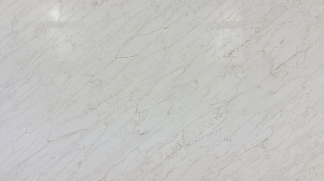 Calacatta Dior Quartz thumbnail.jpeg