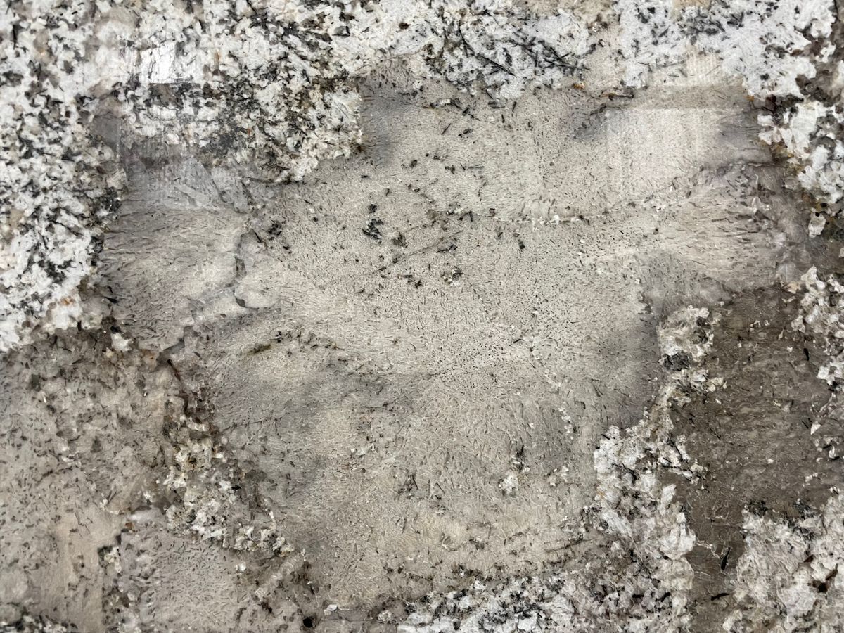 Artic White Granite 39.99 118x75 4.jpg