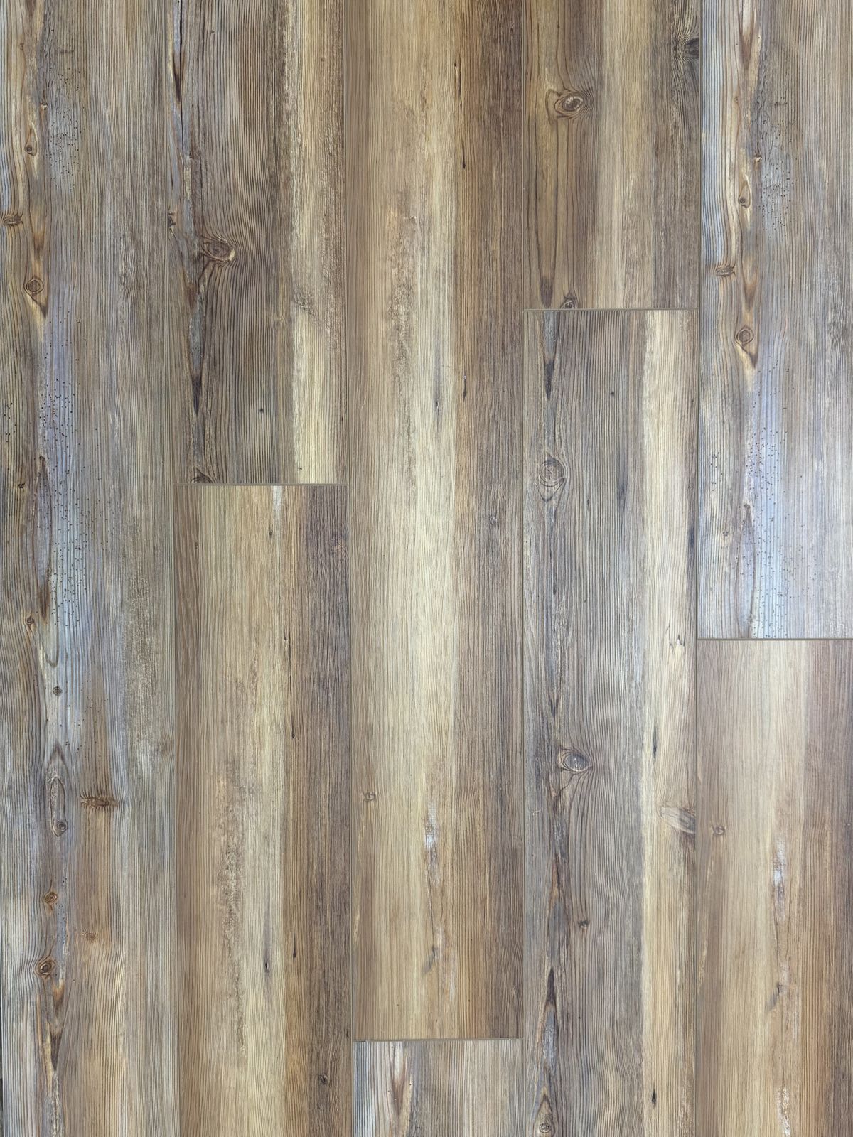 Heart Pine 3.jpg