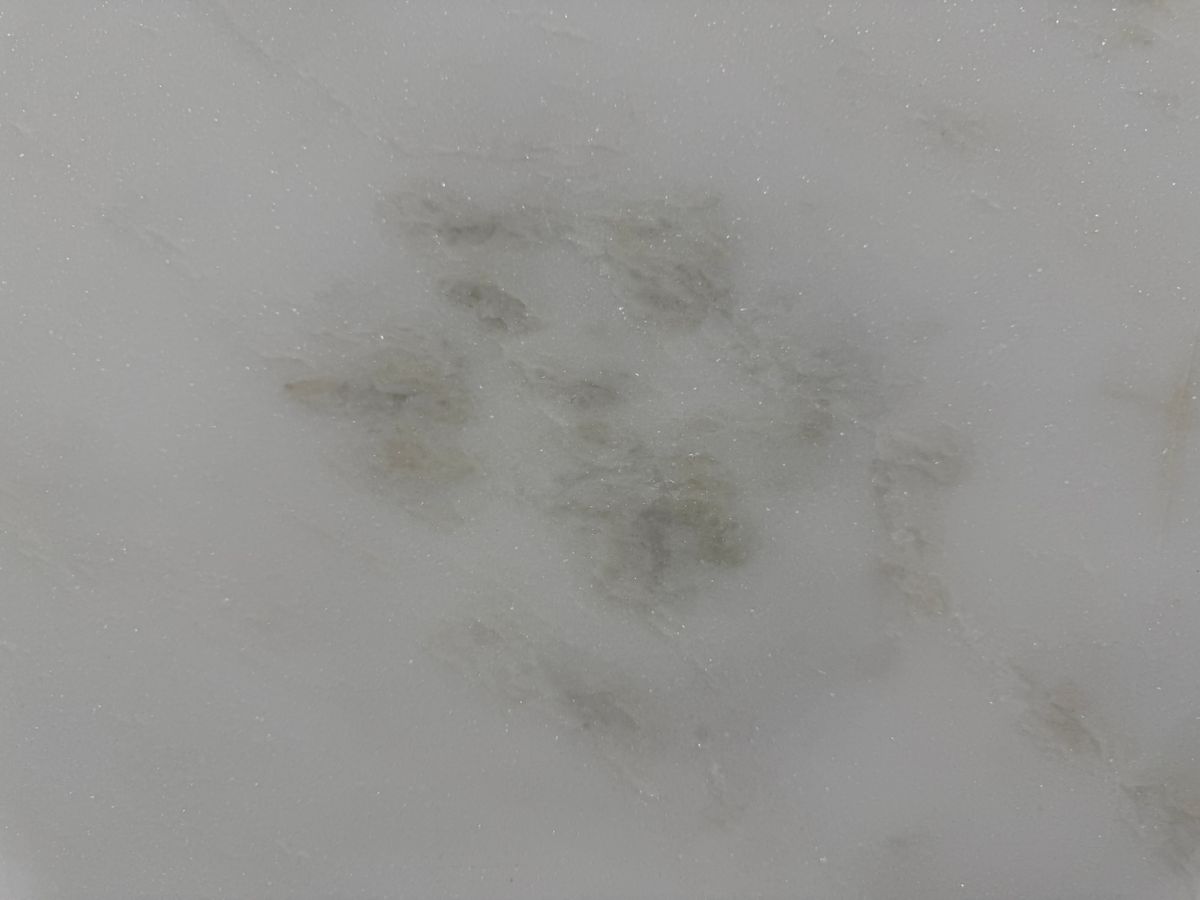 White Rhino Dolomite Lot #2 5.jpg