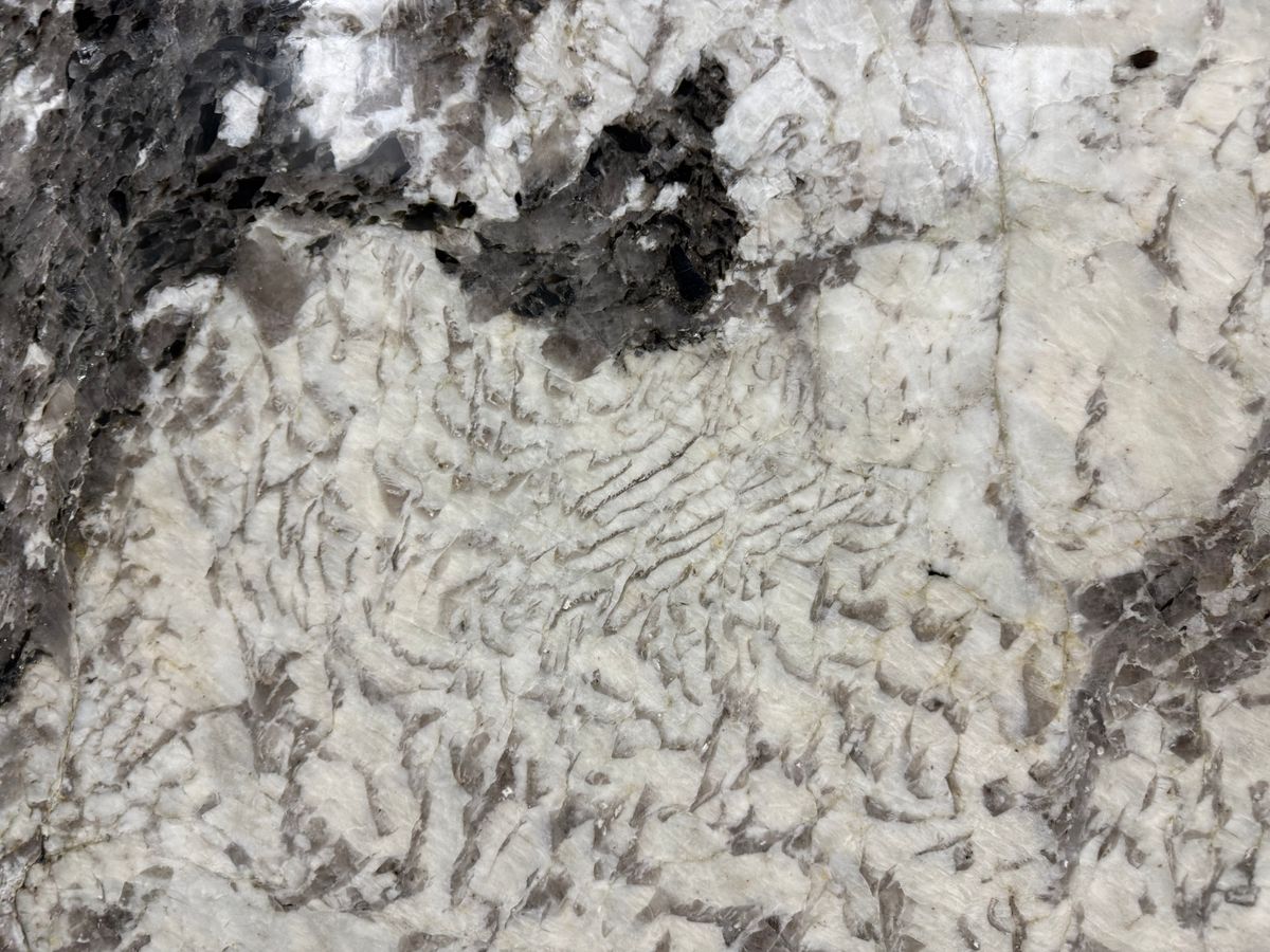 Amara Granite 4.jpeg