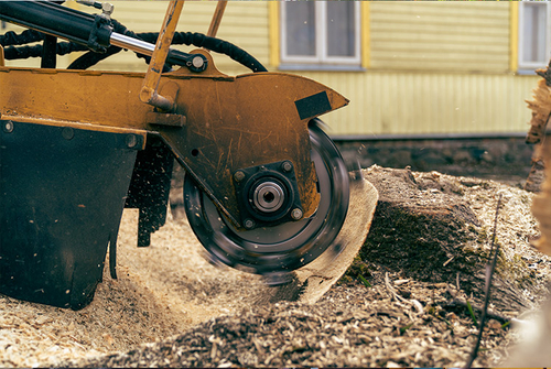 Stump Grinder