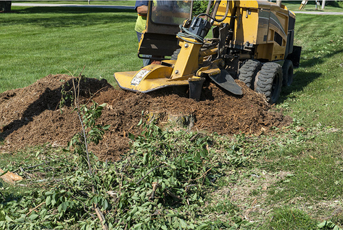 Stump Grinder