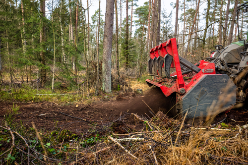 We offer quality, professional, and eco-friendly vegetation management and other land services.