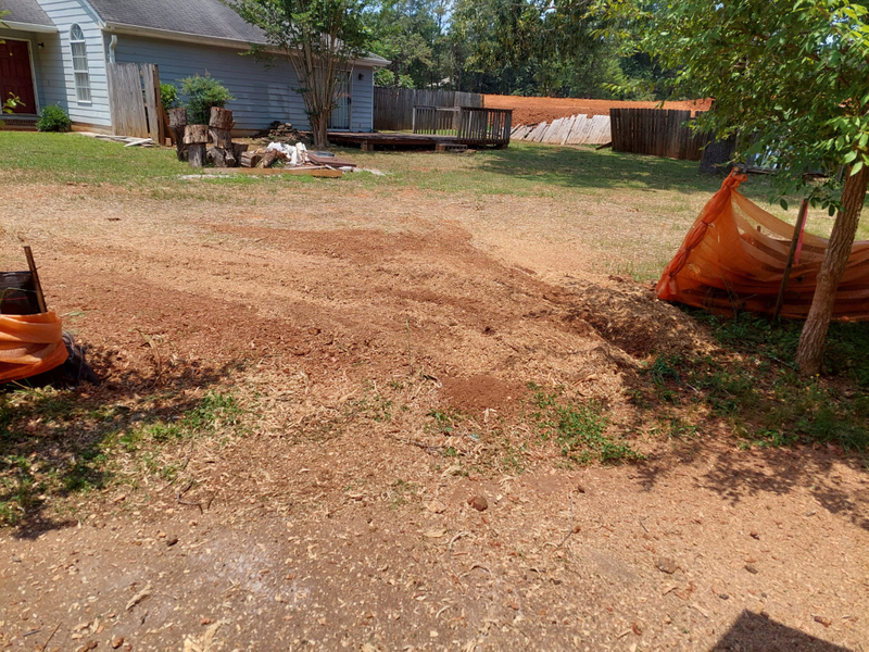 AFTER-Stump Grinding