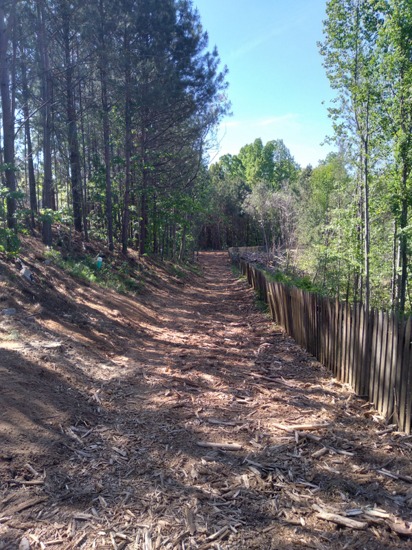 AFTER-Forestry Mulching