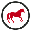 workhorse