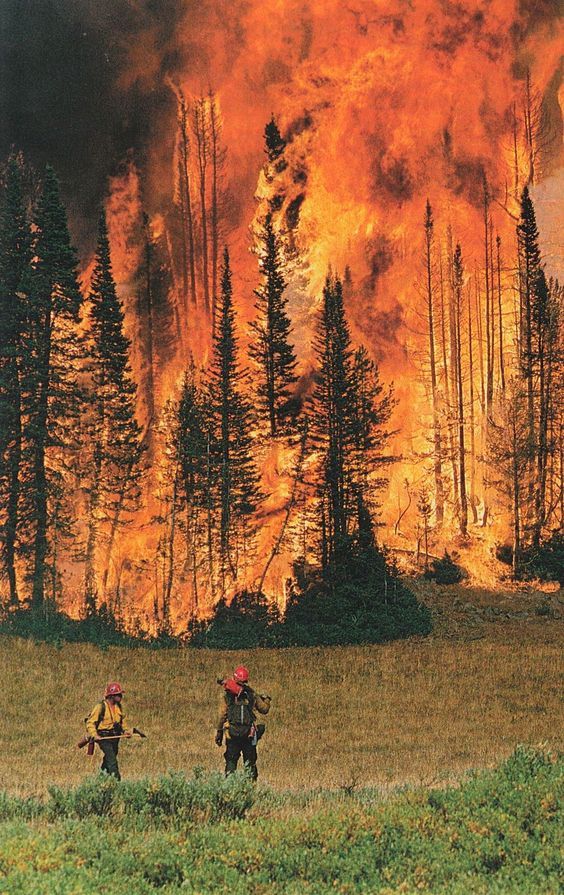 Smokey Bear Hotshot Crew Yellowstone Fires 1988.jpg