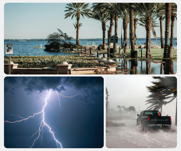 storm 1.png