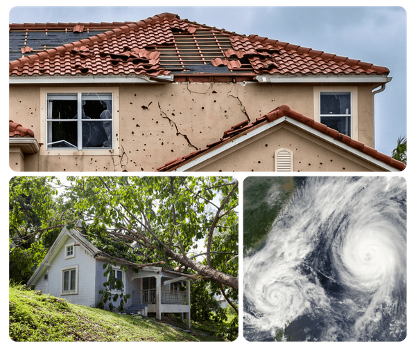 stormdamage (3) (1).png