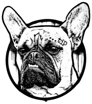 logo2.png