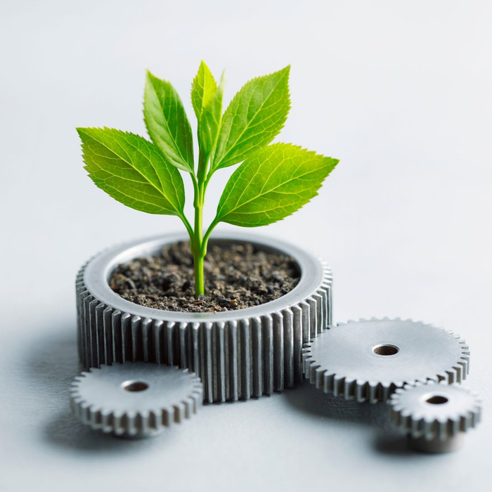 plant growing out of a gear