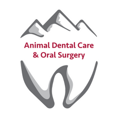 Animal Dental Care & Oral Surgery (png).png
