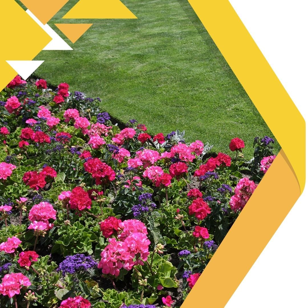 1 Landscaping.jpg