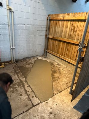39040.jpg
