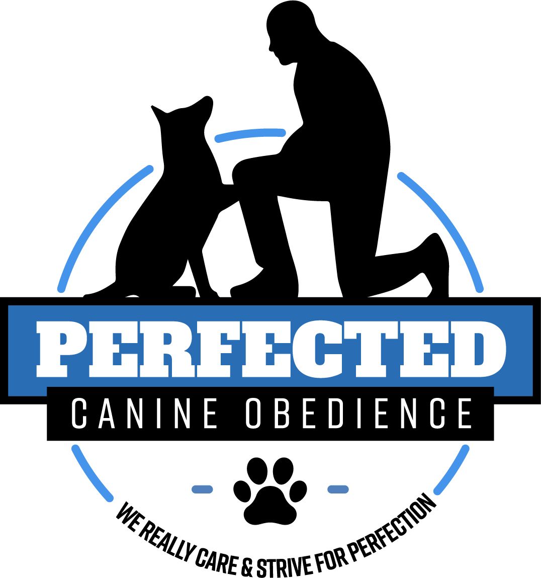 Perfected Canine Obedience