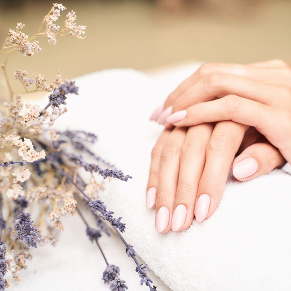 Womans hands near lavendar flowers