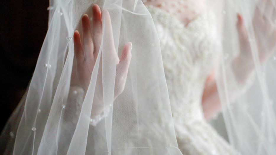 a bride wearing a veil
