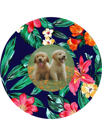 Dogs2 (1)_1660181162.png