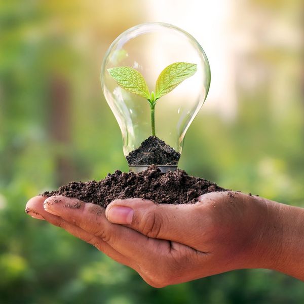 Environmentally friendly. What is Custom Slitting4.jpg