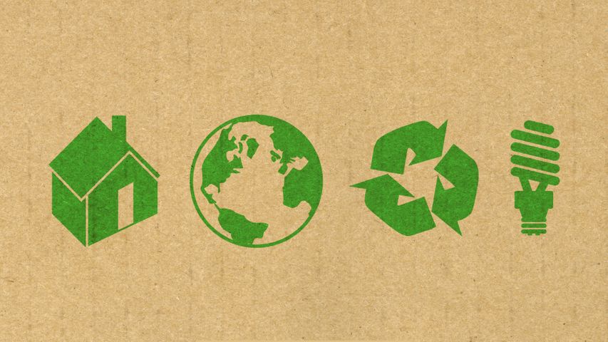 Why We Believe in Sustainability.jpg