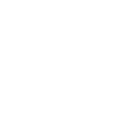 Shaking hands.png