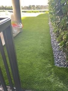 imgi_167_IMG-0755.jpg