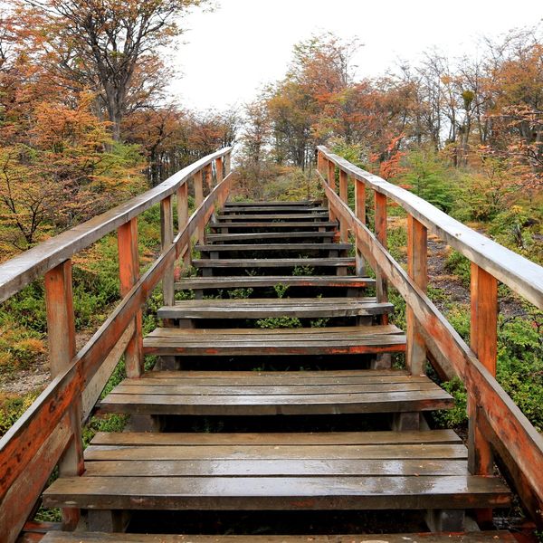 Why Choose Alummikon Stairs - Blog Image1.jpg