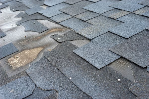damaged roof shingles