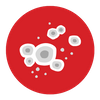 Mold Mold