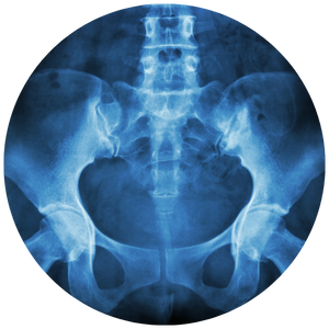 Pelvic Floor Therapy - Icon 3.png