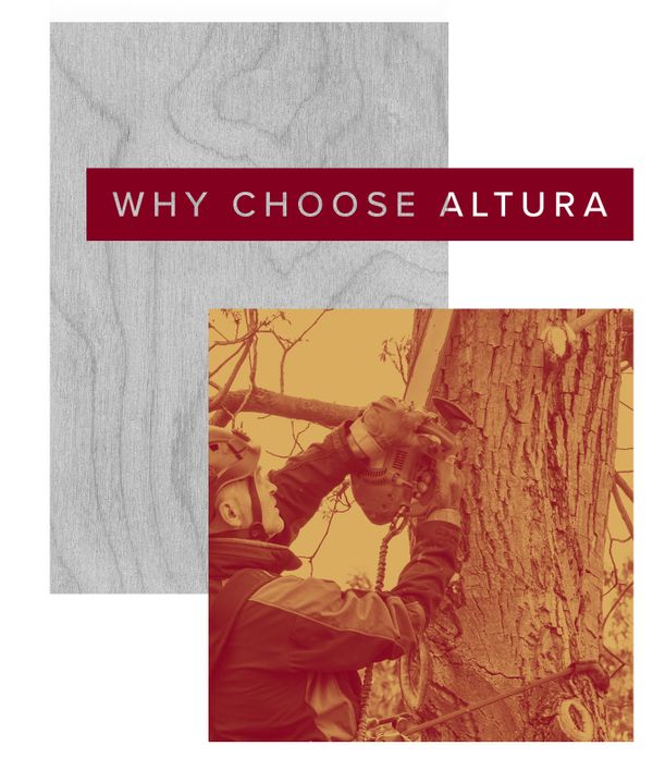 Why Choose Altura and man trimming tree