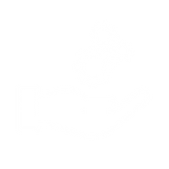 insurance claims assistance