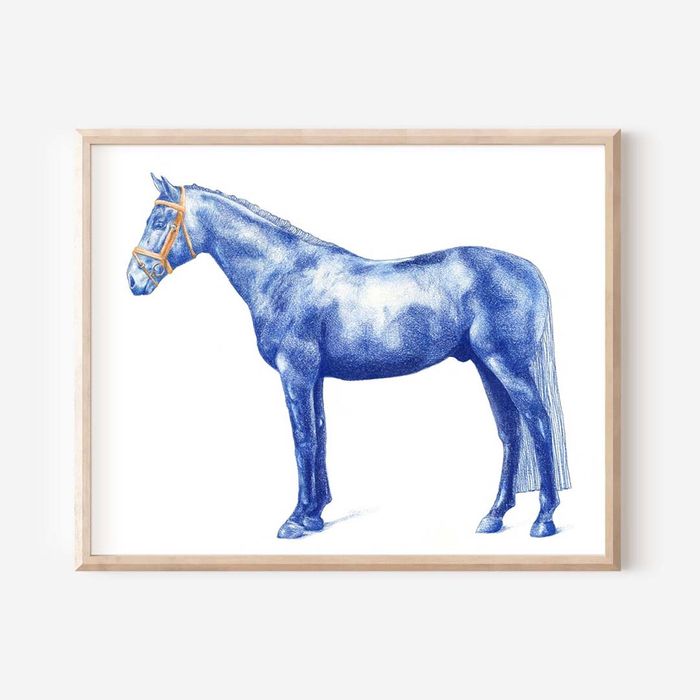 Horse study image