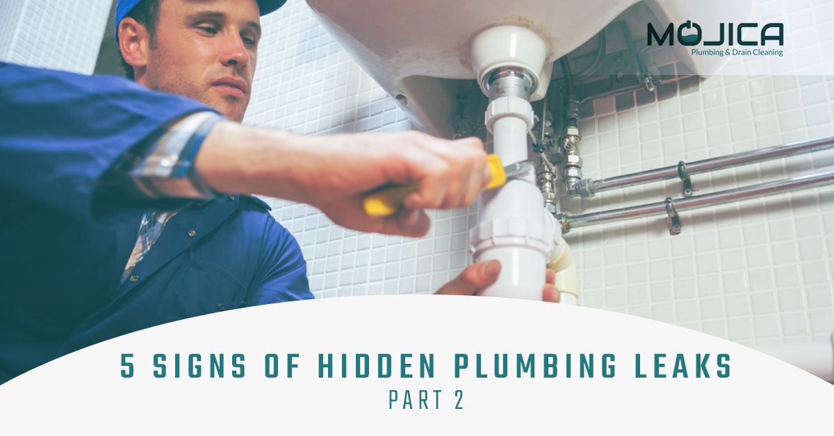 Blog-5-Signs-of-Hidden-Plumbing-Leaks-Part-2-5abd5118da047.jpg