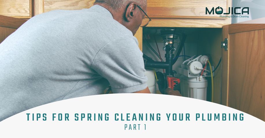 Blog-Tips-for-Spring-Cleaning-Your-Plumbing-5abd518fbe5cf.jpg