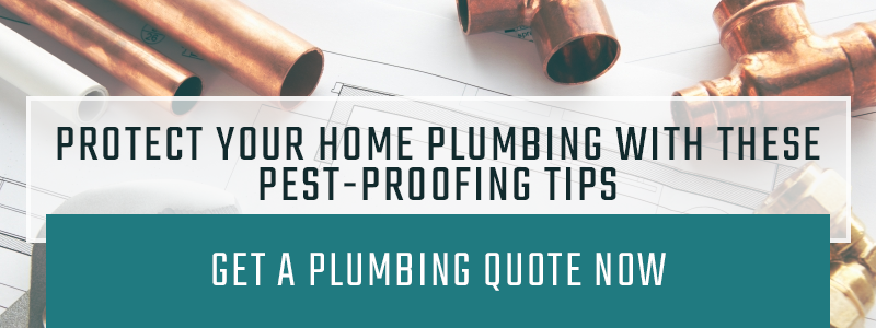 CTA-Protect-Your-Home-Plumbing-with-these-Pest-Proofing-Tips-5ad657b3aa9bd.png