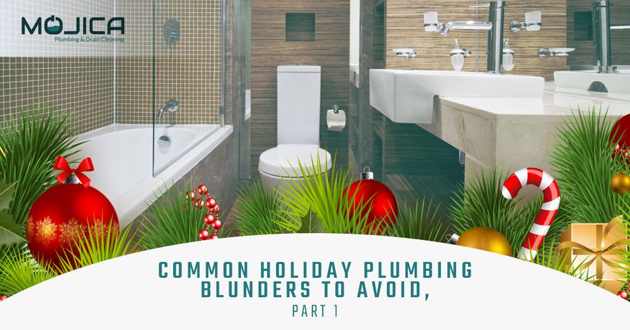 Common-Holiday-Plumbing-Blunders-to-Avoid-Part-1-5a57860c365d1.jpg