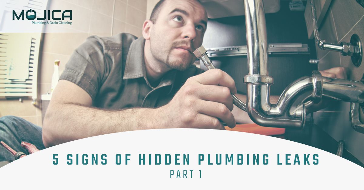 Blog-5-Signs-of-Hidden-Plumbing-Leaks-Part-1-5abd51448e52e.jpg