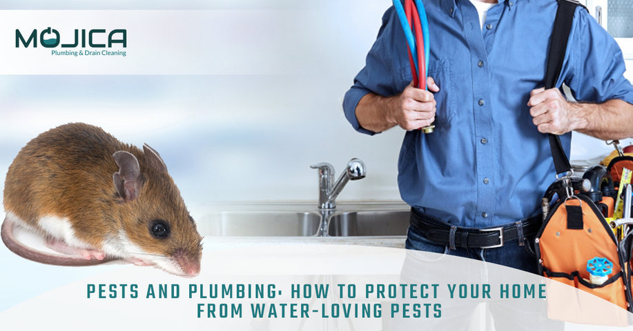 Pests-and-Plumbing-How-to-Protect-Your-Home-from-Water-Loving-Pests-5ad657aaf0d23.png