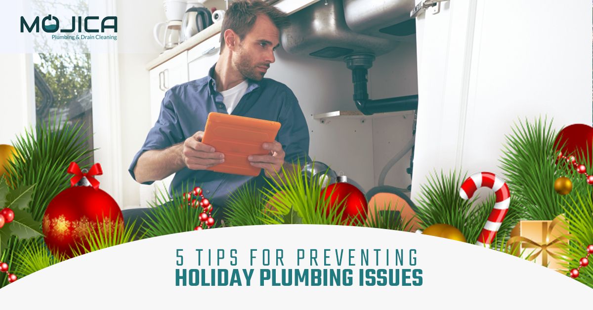 5-Tips-for-Preventing-Holiday-Plumbing-Issues-5a6b440094df1.jpg